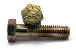 Grade 8 HHCS Cr6 Group