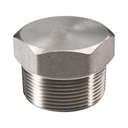Industrial Hex Head Plug 3000# Pipe Thread Type 304L Stainless Steel Pipe Fittings