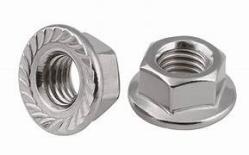 316 Stainless Steel Flange Serrated Locknut