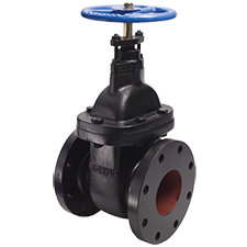 Legend Non-rising Stem Flanged Cast Iron Gate Valve